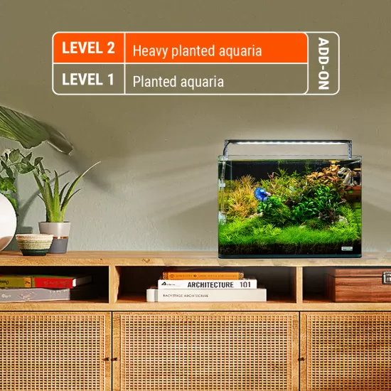 Dennerle Plant Care Pro Root 10 pcs - 2