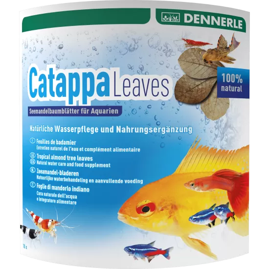 Бадемови листа Dennerle Catappa Leaves almond leaves - 1