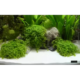 Dennerle Natural gravel Plantahunter Beach 0.1-0.6мм 5кг