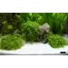 Dennerle Natural gravel Plantahunter Beach 0.1-0.6мм 5кг - 2
