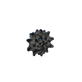 Изкуствена декорация - Раковина