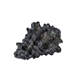 Изкуствена декорация - Раковина