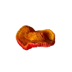 Изкуствена декорация - Корал Гъба