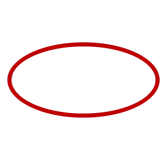 Уплътнение за външен филтър  EHEIM Classic - 1