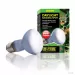 Exo Terra Day Glo Basking Spot Lamp