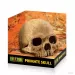 Декорация Exo Terra Primate Skull M - 2