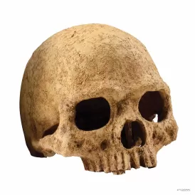 Декорация Exo Terra Primate Skull M