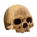Декорация Exo Terra Primate Skull M