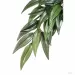 Изкуствени растения за терариум Exo Terra - рускус