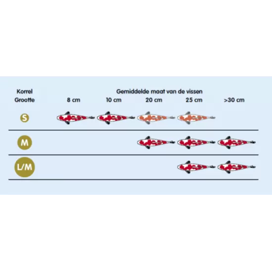 Hikari Friend Medium - 2
