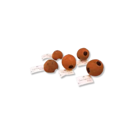 Декорация JBL Coco Cava 1/2 M