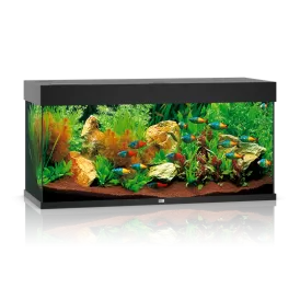 Аквариум JUWEL RIO 240 LED - черен