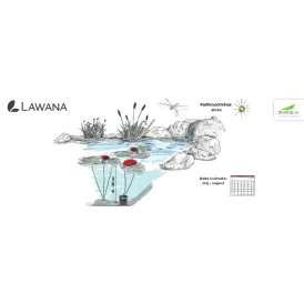 Водна лилия червена (Lawana Nymphaea Natura Coco Attraction)