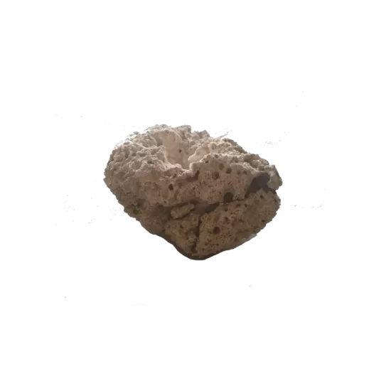 Reef rock, light - 1
