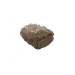 Reef rock, light