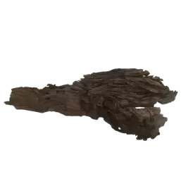 Корен Shrimp