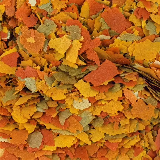 Храна на люспи за златни рибки и кои Tropical Goldfish Color - 2