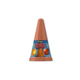 Конус за размножаване на дискуси Tropical KEGEL