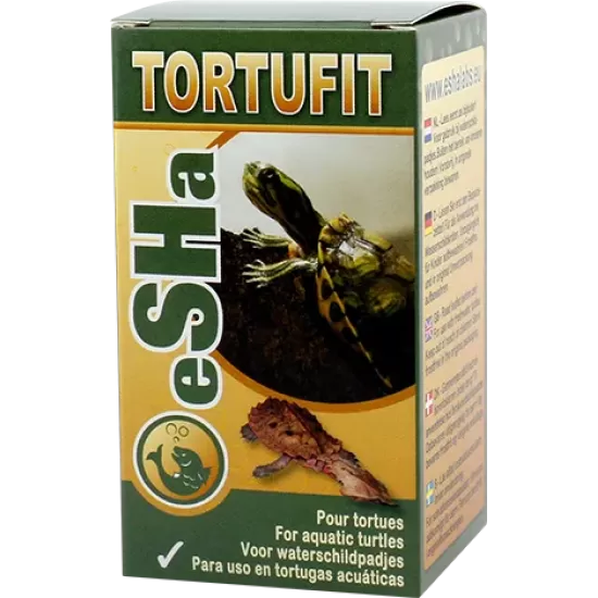 eSHa Tortufit - 1