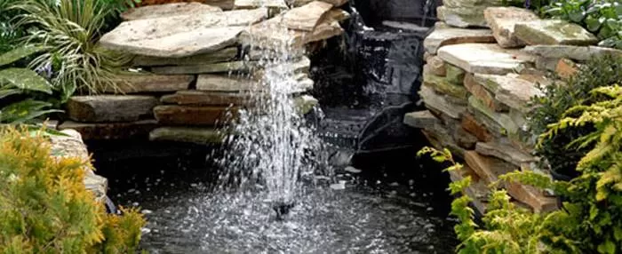 стартиране на градинско езеро