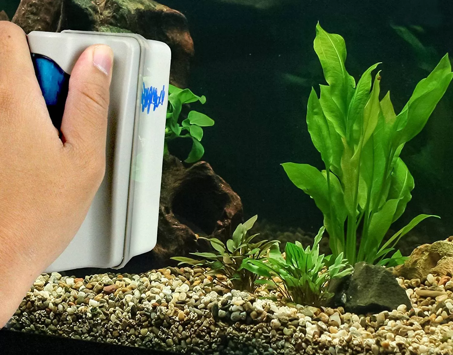 внимателно почистване с гъба на стъклото