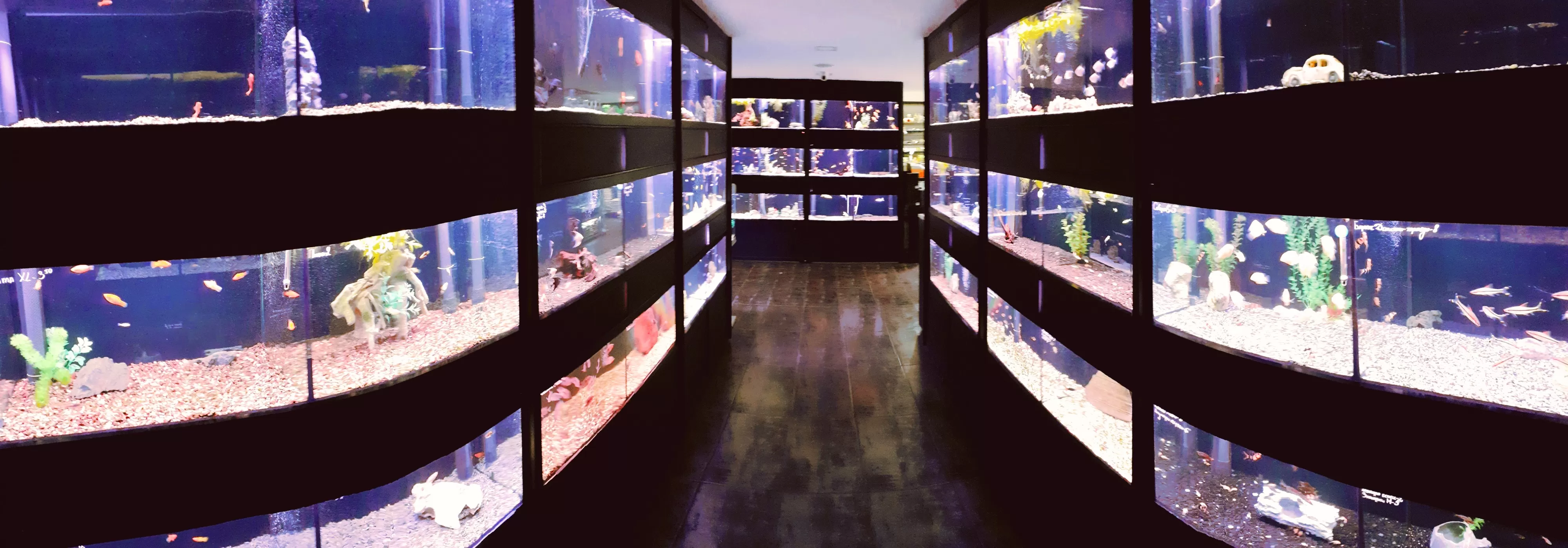 News letter - aquairum.bg