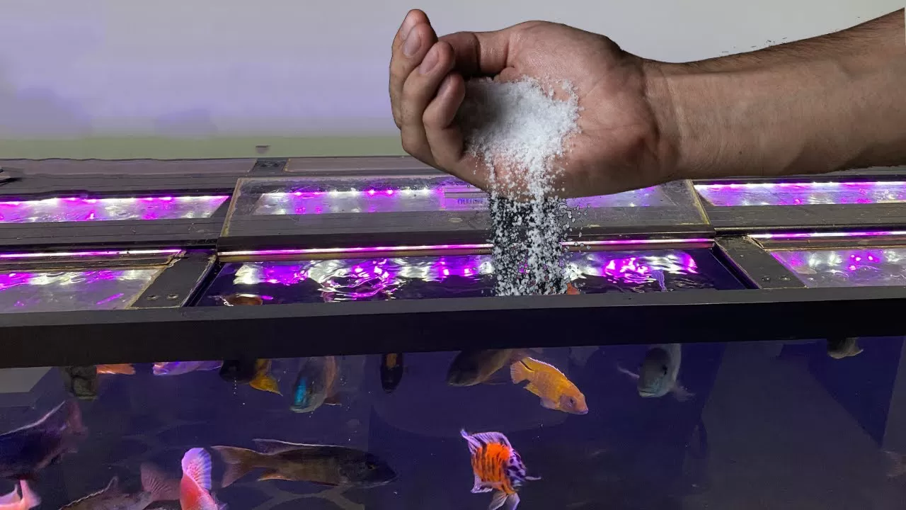 добавяне на сол в аквариума