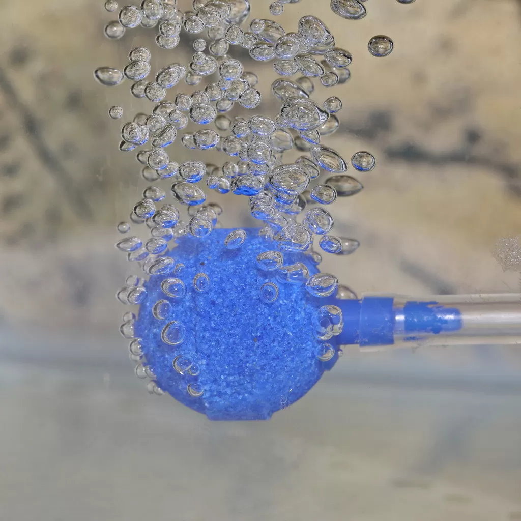 Аерацията в аквариума