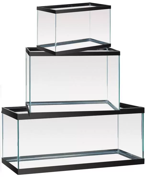 избор на аквариум