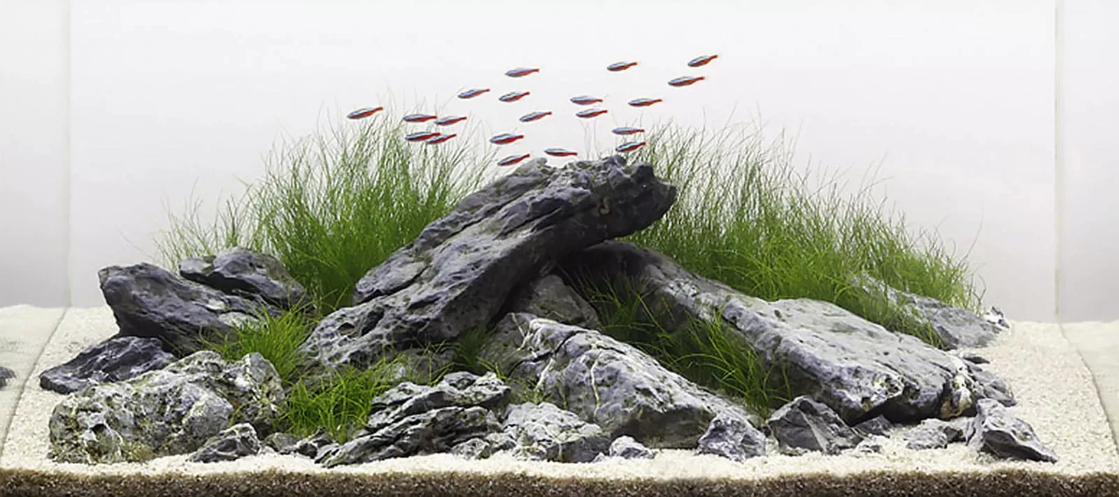 акваскейп Ивагуми