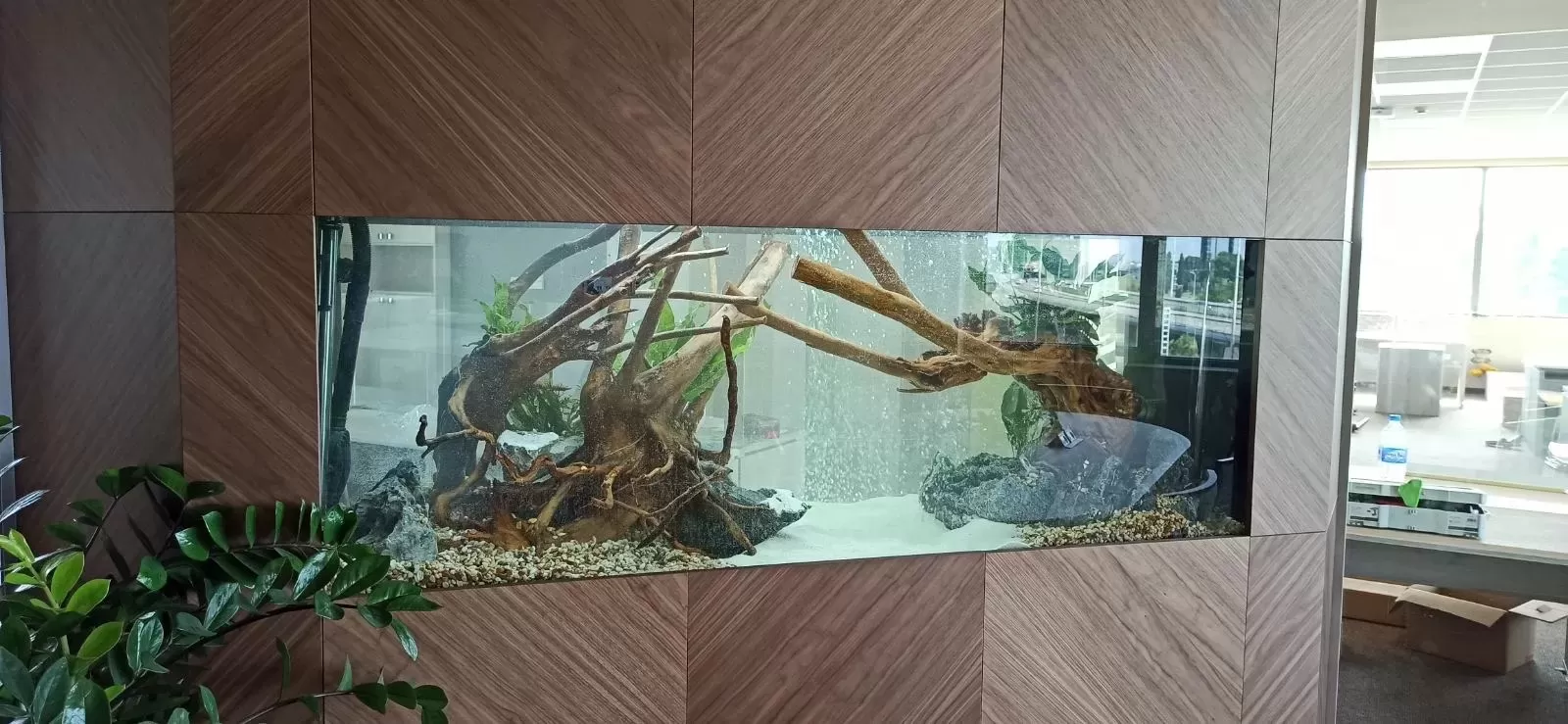 Производство на аквариуми по поръчка