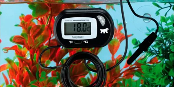 термометър за аквариум