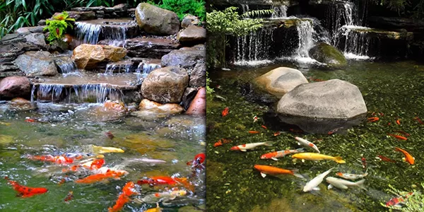 езерни помпи